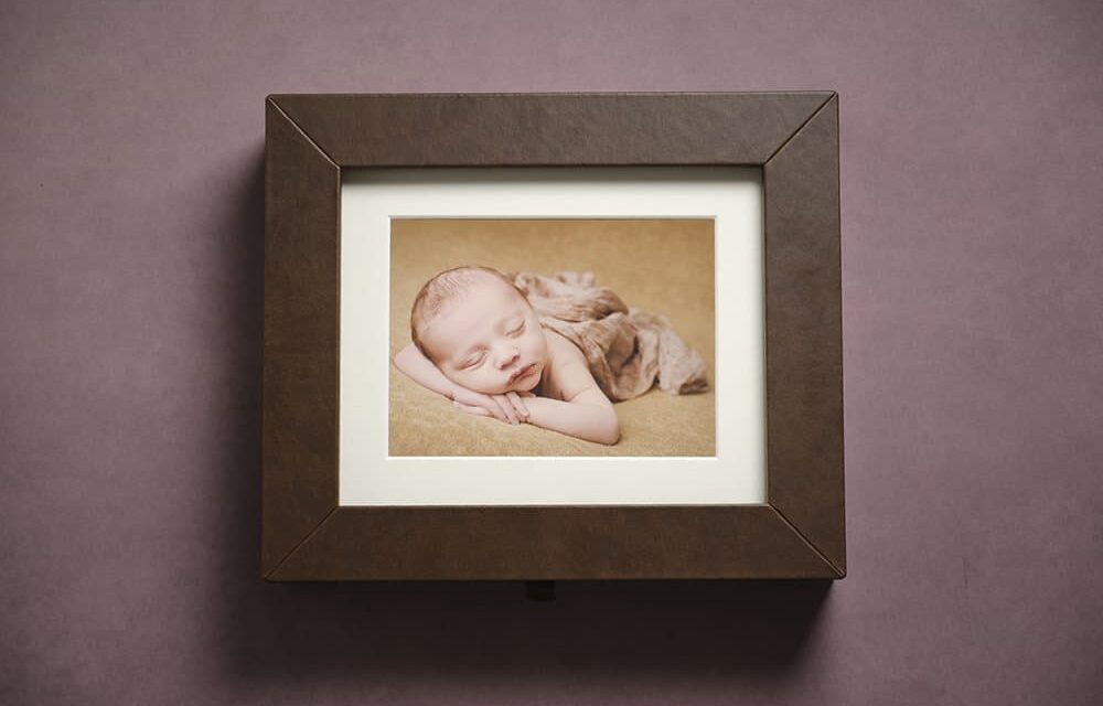 baby-photo-folio-lincoln