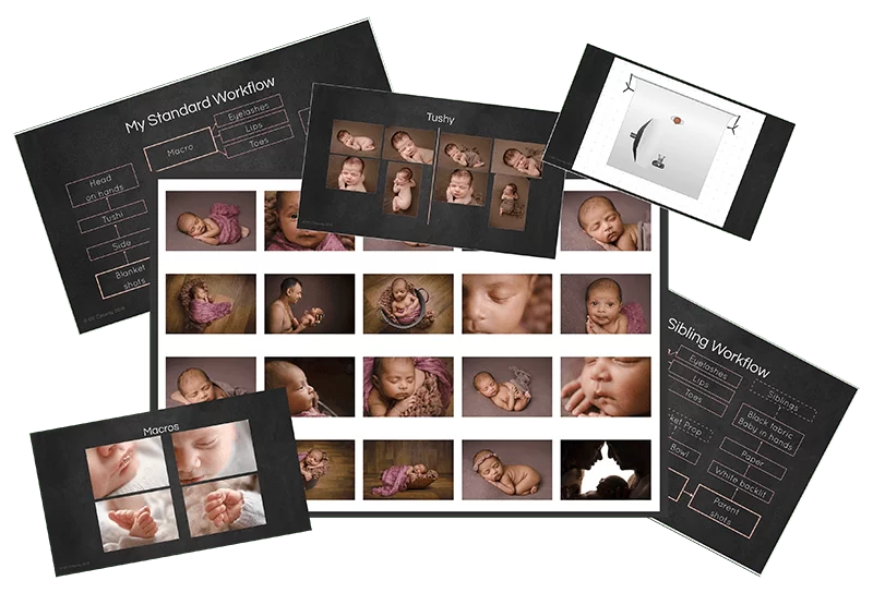 newborn workflow photography training article 